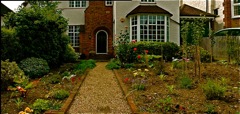 front garden
